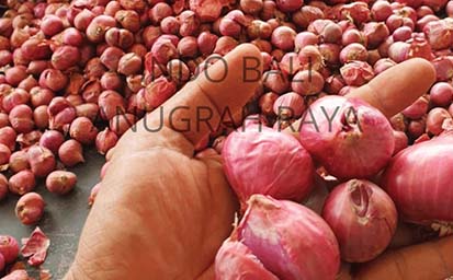 Coconut Sugar & Fried Shallots